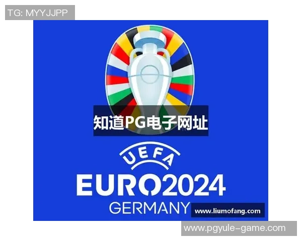 pg电子是什么意思-揭秘PG电子，定义、含义与应用领域解析-pg电子是什么意思